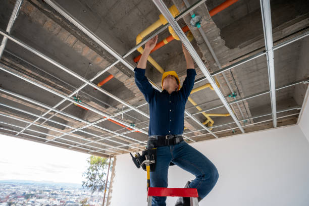 Best Toilet Repair Services  in Cross City, FL